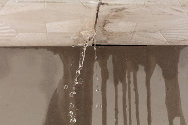 Professional Structural Drying technician working in Munford, AL